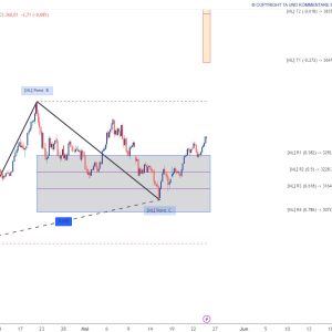 Trend-Guard Essential 1 Monat – Bild 2