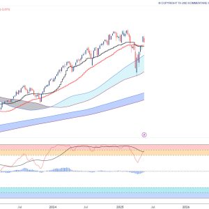Trend-Guard Essential 1 Monat – Bild 4